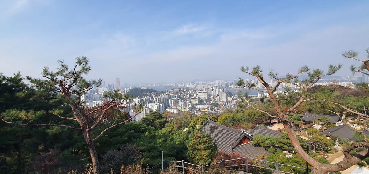 당신의 동의를 구하지는 않았지만, 퍼가요~