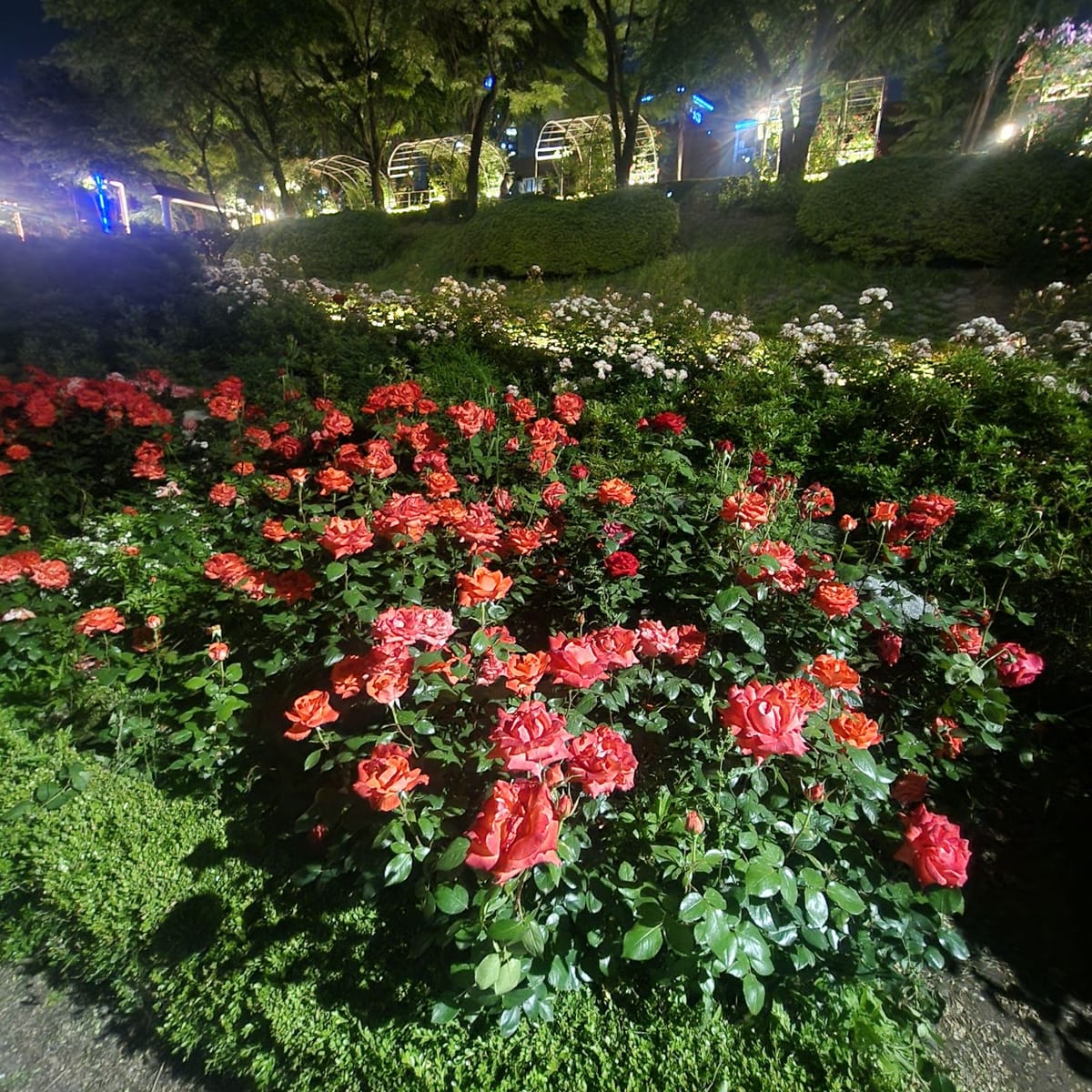한국 AI 기술은 누구의 의도로 이끌어질까?