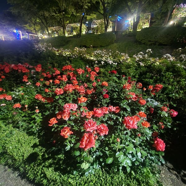 한국 AI 기술은 누구의 의도로 이끌어질까?